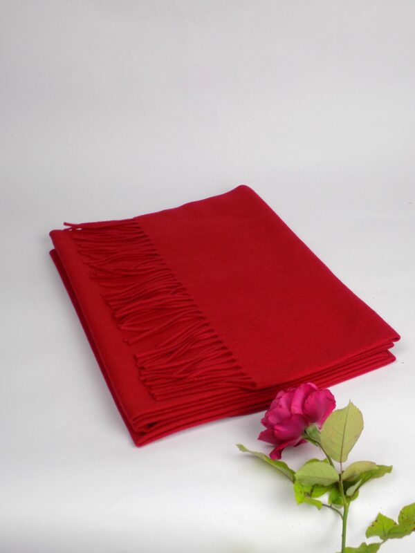 Etole Rouge passion