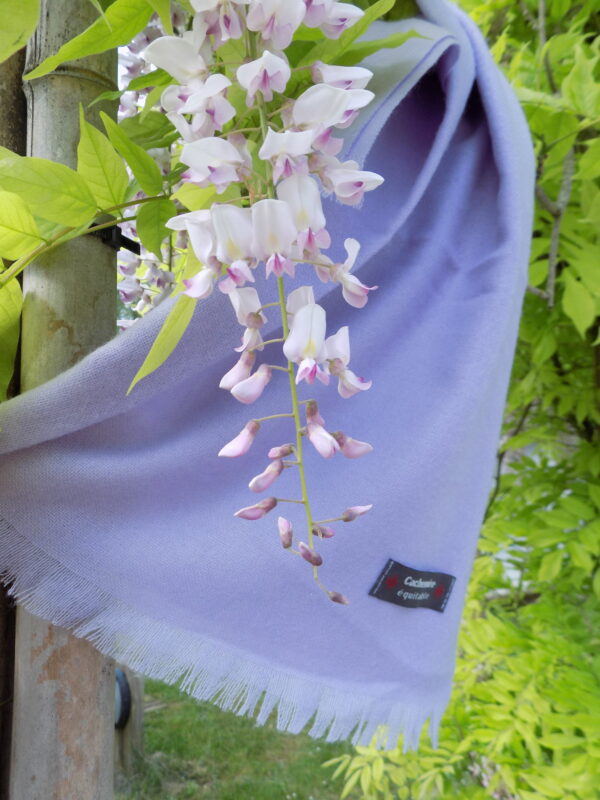 Etole Lilas Lilas – Image 4
