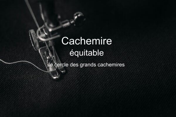 Bienvenue dans la cour des grands .